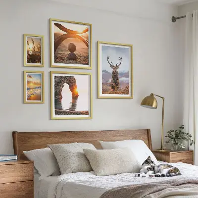 Framed Photo Set featuring a harmonious nature and wild animal scene