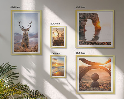 Framed photo set Nature wild animals harmoniously