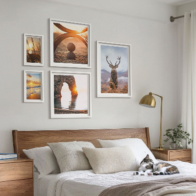 Framed photo set Nature wild animals harmoniously