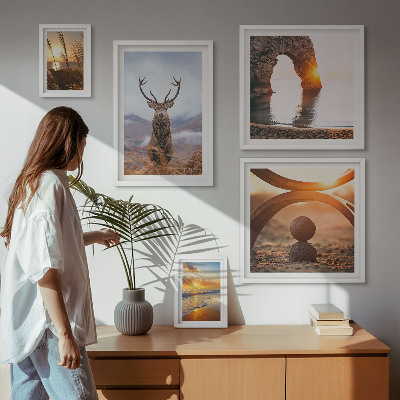 Framed photo set Nature wild animals harmoniously