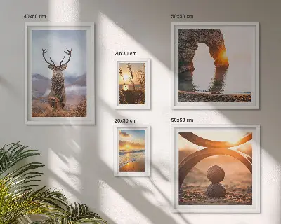 Framed Photo Set featuring a harmonious nature and wild animal scene