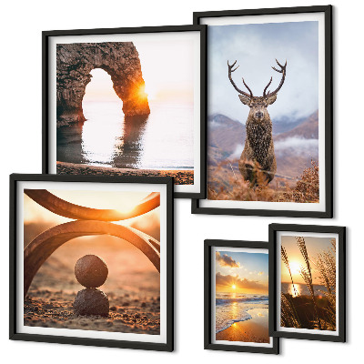 Framed photo set Nature wild animals harmoniously