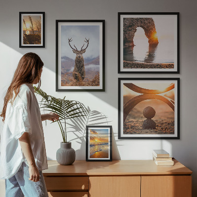 Framed photo set Nature wild animals harmoniously