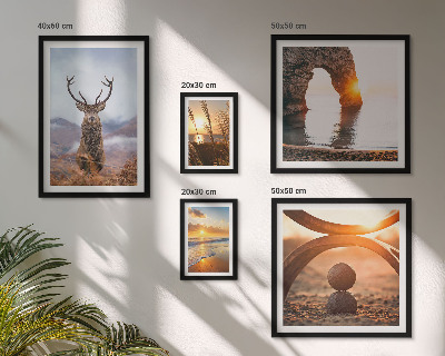 Framed photo set Nature wild animals harmoniously