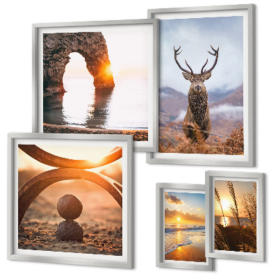 Framed photo set Nature wild animals harmoniously