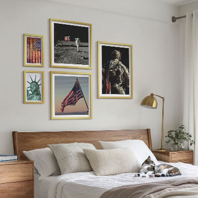 Set of 5 wall art pieces American symbolism of history