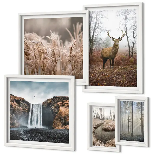 Wildlife landscapes framed photo set