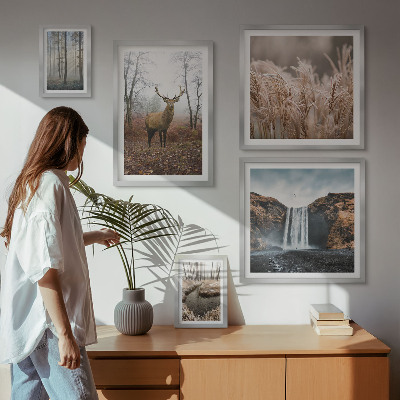 Framed photo set Wildlife landscapes