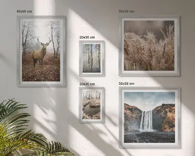 Wildlife landscapes framed photo set 