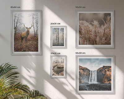 Framed photo set Wildlife landscapes
