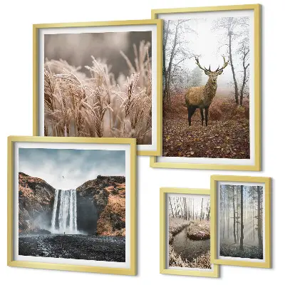 Wildlife landscapes framed photo set 