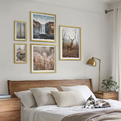 Framed photo set Wildlife landscapes