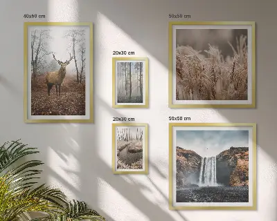 Wildlife landscapes framed photo set 