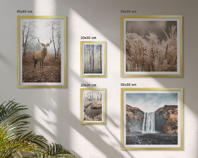 Framed photo set Wildlife landscapes