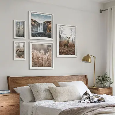 Wildlife landscapes framed photo set 