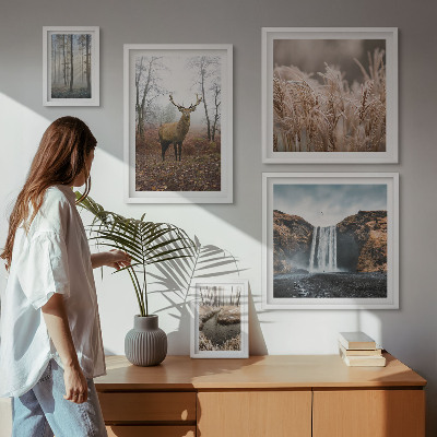 Framed photo set Wildlife landscapes