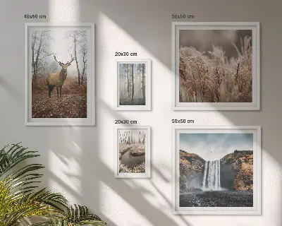 Wildlife landscapes framed photo set 