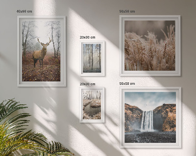Framed photo set Wildlife landscapes