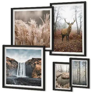 Wildlife landscapes framed photo set 