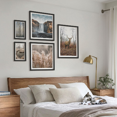 Framed photo set Wildlife landscapes