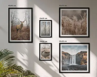 Wildlife landscapes framed photo set 
