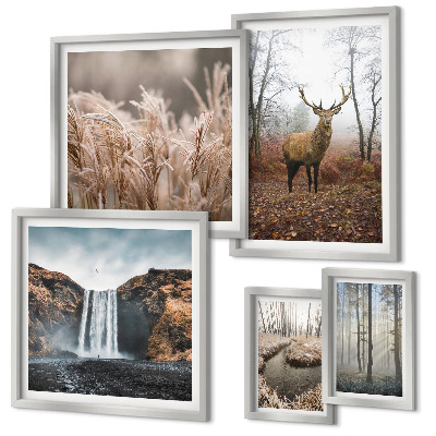 Framed photo set Wildlife landscapes