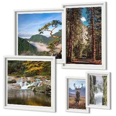 Gallery wall Mountain landscapes and wild nature