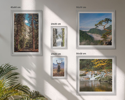 Gallery wall Mountain landscapes and wild nature