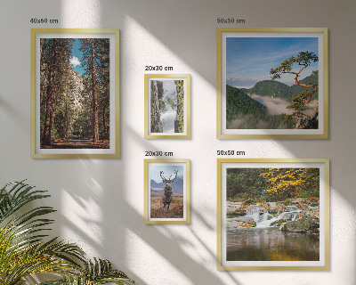 Gallery wall Mountain landscapes and wild nature