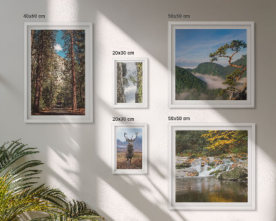 Gallery wall Mountain landscapes and wild nature