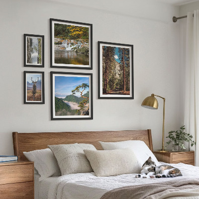 Gallery wall Mountain landscapes and wild nature