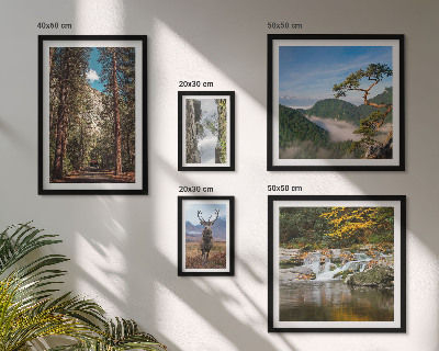 Gallery wall Mountain landscapes and wild nature