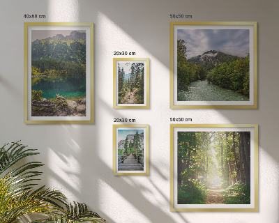 Framed photo set Mountain landscapes and forest trails