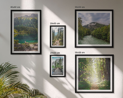 Framed photo set Mountain landscapes and forest trails