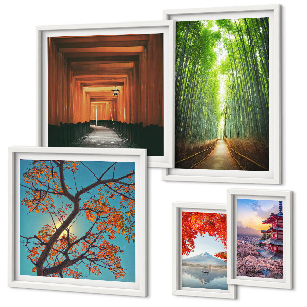 Framed photo set Landscapes of Japan bamboo flowers