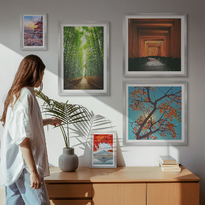 Framed photo set Landscapes of Japan bamboo flowers