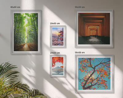 Framed photo set Landscapes of Japan bamboo flowers