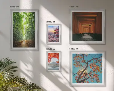 Framed photo set landscapes of Japan with bamboo and flowers