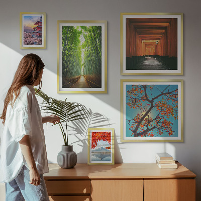 Framed photo set Landscapes of Japan bamboo flowers