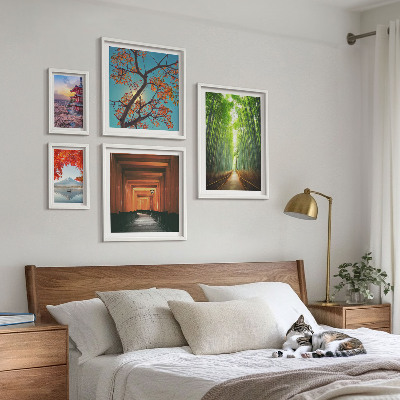 Framed photo set Landscapes of Japan bamboo flowers