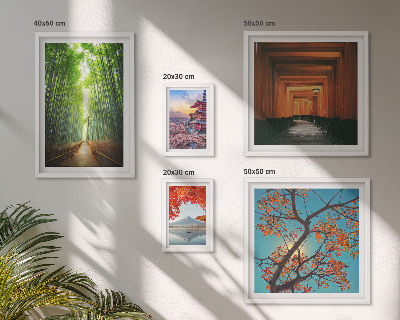 Framed photo set Landscapes of Japan bamboo flowers