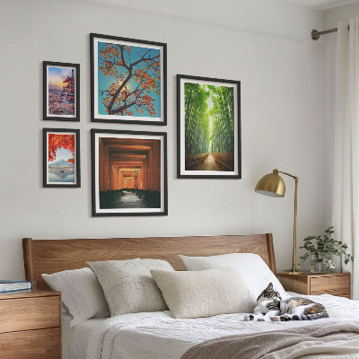 Framed photo set Landscapes of Japan bamboo flowers