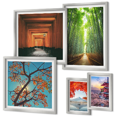 Framed photo set Landscapes of Japan bamboo flowers