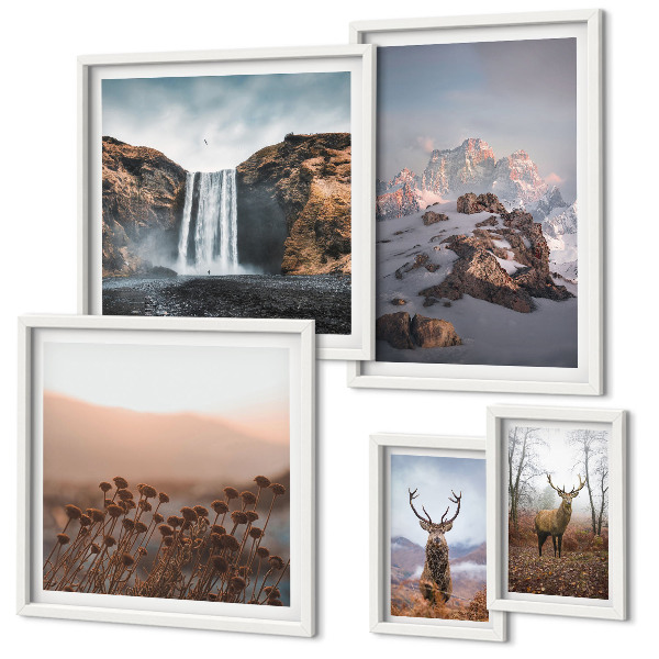 Gallery wall Mountain landscapes wild animals