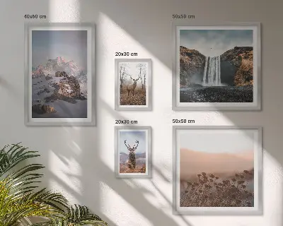 Gallery wall mountain landscapes with wild animals