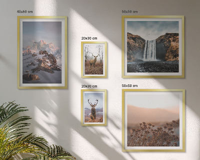 Gallery wall Mountain landscapes wild animals