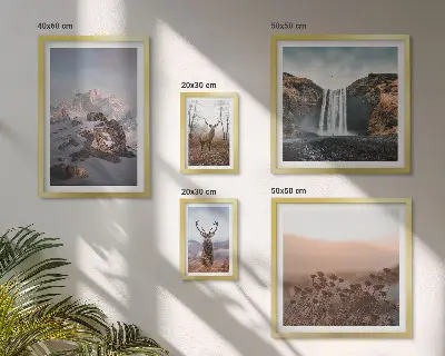 Gallery wall mountain landscapes with wild animals