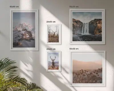 Gallery wall mountain landscapes with wild animals