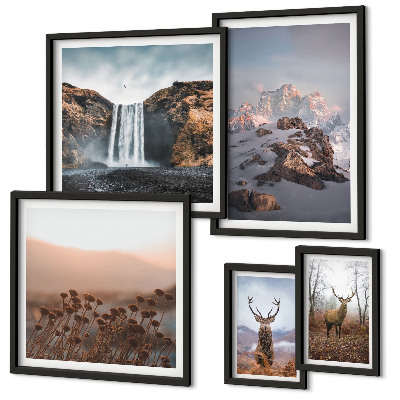 Gallery wall Mountain landscapes wild animals