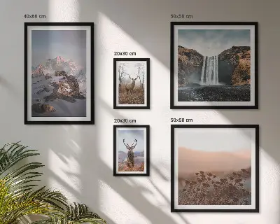Gallery wall mountain landscapes with wild animals